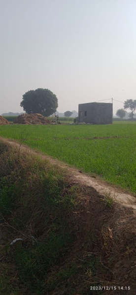  Agricultural Land 10 Bigha for Sale in Jewar, Gautam Buddha Nagar