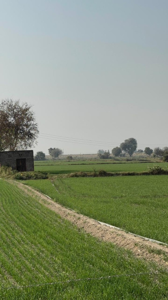  Residential Plot 20 Bigha for Sale in Jewar, Gautam Buddha Nagar