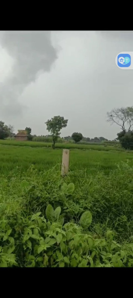  Agricultural Land 100 Bigha for Sale in Khair, Aligarh
