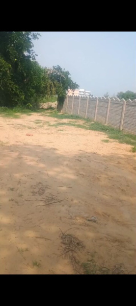  Residential Plot 17 Bigha for Sale in Khair, Aligarh