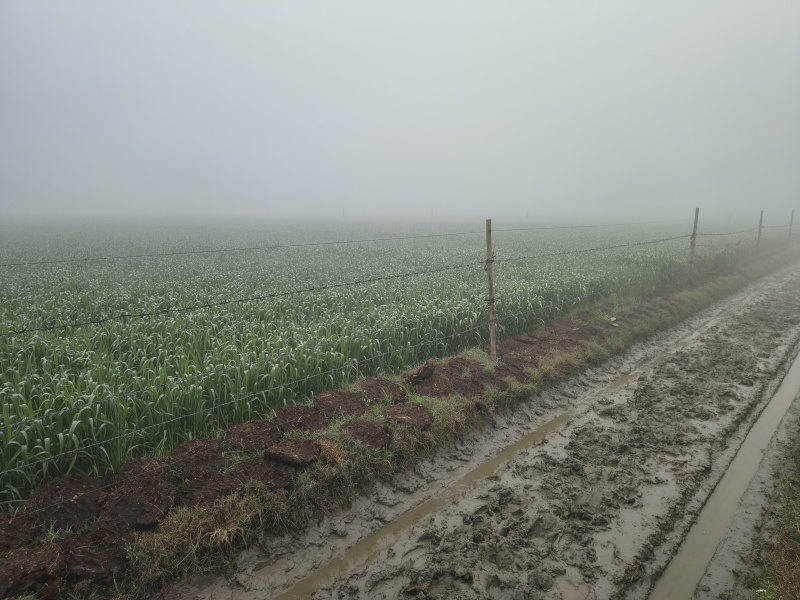  5 Bigha Agricultural/Farm Land for Sale in Jewar, Gautam Buddha Nagar