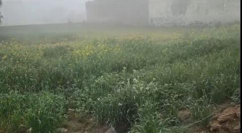  2016 Sq. Yards Agricultural/Farm Land for Sale in Jewar, Gautam Buddha Nagar