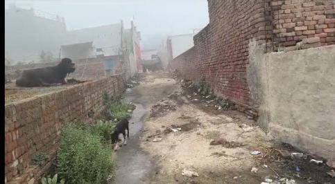  2016 Sq. Yards Agricultural/Farm Land for Sale in Jewar, Gautam Buddha Nagar