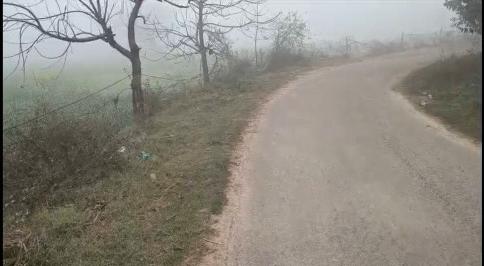  5 Bigha Agricultural/Farm Land for Sale in Rabupura, Gautam Buddha Nagar