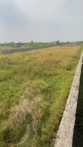  10 Bigha Residential Plot for Sale in Jewar, Gautam Buddha Nagar