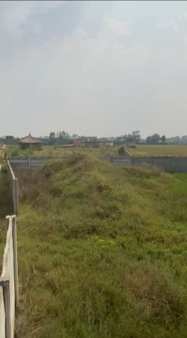  10 Bigha Residential Plot for Sale in Jewar, Gautam Buddha Nagar