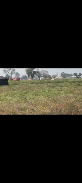  16 Bigha Agricultural/Farm Land for Sale in Jattari, Aligarh