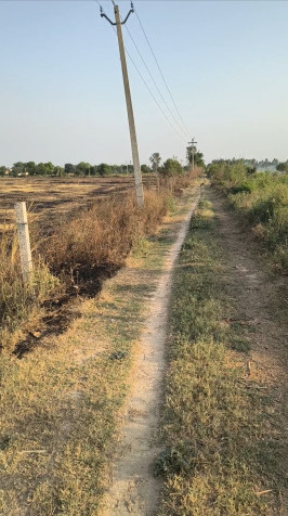  38 Bigha Agricultural/Farm Land for Sale in Khurja, Bulandshahr