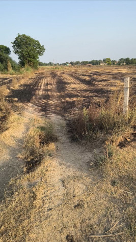  38 Bigha Agricultural/Farm Land for Sale in Khurja, Bulandshahr