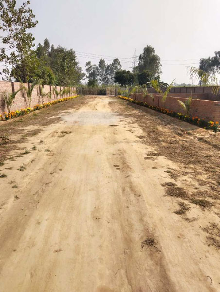 Residential Plot 1000 Sq.ft. for Sale in Pilibhit Bypass Road, Bareilly