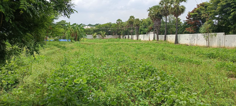  Agricultural Land 55 Cent for Sale in Papparapatti, Dharmapuri