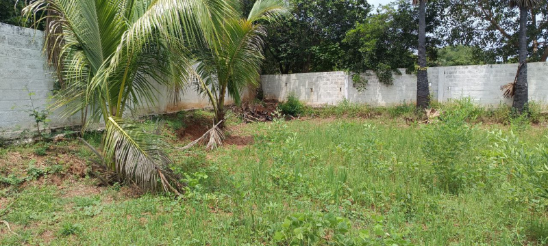  Agricultural Land 55 Cent for Sale in Papparapatti, Dharmapuri