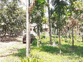  Agricultural Land for Sale in Bantwal, Mangalore