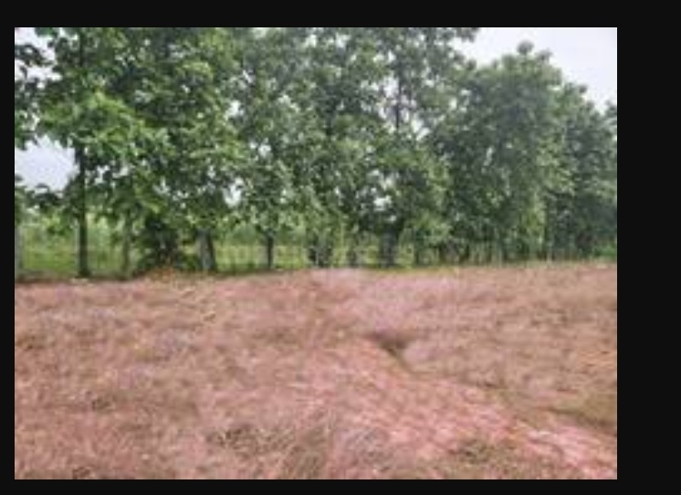  Industrial Land 39 Acre for Sale in Gummidipoondi, Thiruvallur