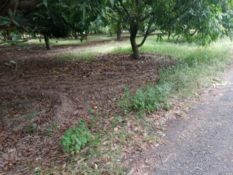  Agricultural Land 70 Sq.ft. for Sale in Gummidipoondi, Thiruvallur