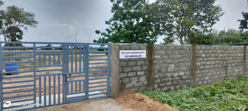  70 Cent Commercial Land for Sale in KN Road, Tadepalligudem