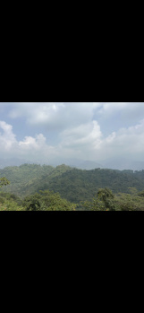 Hotels for Sale in Totu, Shimla