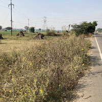  Industrial Land for Sale in Wazirpur, Gurgaon