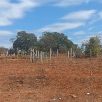  Agricultural Land for Sale in Jayapura, Mysore