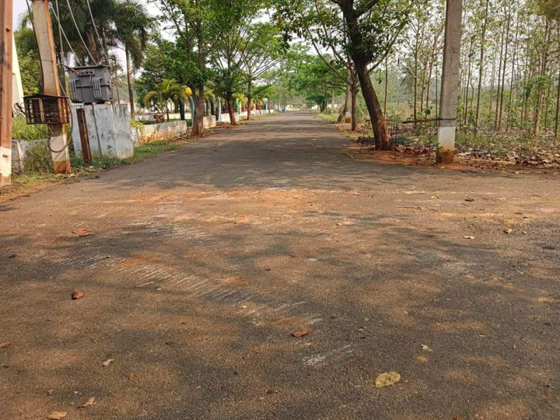  Residential Plot 200 Sq. Yards for Sale in Kapuluppada, Visakhapatnam