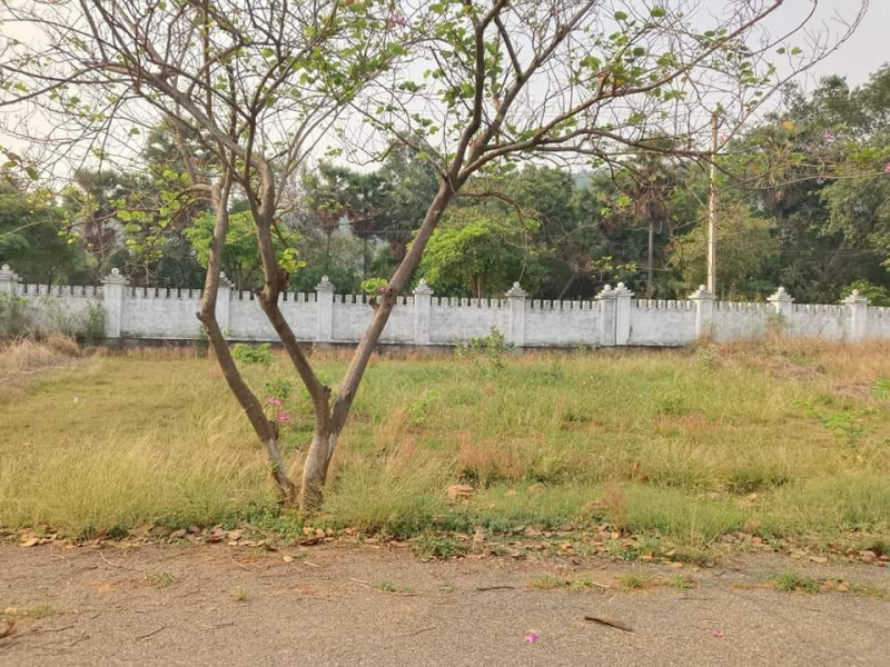  Residential Plot 200 Sq. Yards for Sale in Kapuluppada, Visakhapatnam