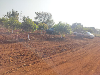  Agricultural Land for Sale in Yenkapally, Hyderabad
