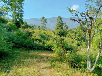  Commercial Land for Sale in Kurseong, Darjeeling