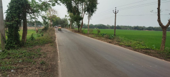  Agricultural Land for Sale in Kalna, Bardhaman