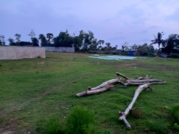  Commercial Land for Sale in Digha, Medinipur