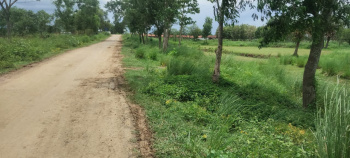 8 Bigha Agricultural Land for Sale in Pandua, Hooghly