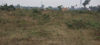  Agricultural Land for Sale in Pandua, Hooghly