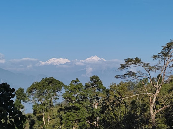  Agricultural Land for Sale in Lava, Kalimpong