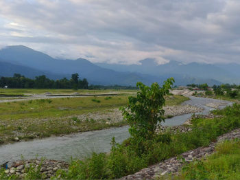  Agricultural Land for Sale in Dooars, Alipurduar