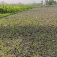  Agricultural Land for Sale in Station Road, Jaunpur