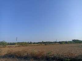  Agricultural Land for Sale in Nakhatrana, Kutch