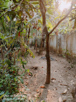 2 BHK House for Sale in Thriprayar, Thrissur