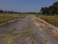  Commercial Land for Sale in Joka, Kolkata