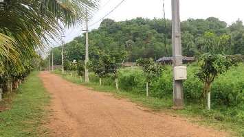  Agricultural Land for Sale in Kothavalasa, Vizianagaram