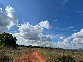  Agricultural Land for Sale in Chikkaballapur, Bangalore