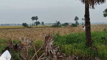  Agricultural Land for Sale in Gudivada, Krishna