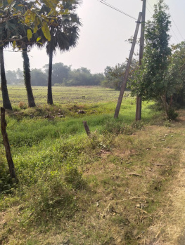  Agricultural Land for Sale in Gudivada, Krishna