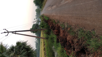  Agricultural Land for Sale in Gudivada, Krishna