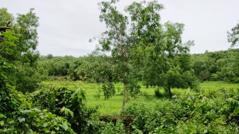  Residential Plot for Sale in Ashwem, Panaji, Goa