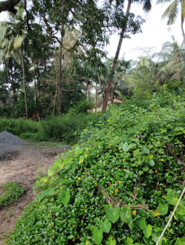  Residential Plot for Sale in Verla Canca, North Goa