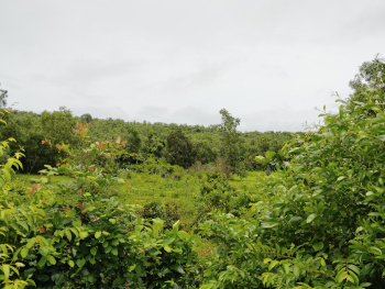  Residential Plot for Sale in Chorao, North Goa, 