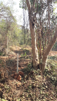  Residential Plot for Sale in Salvador Do Mundo, Bardez, Goa