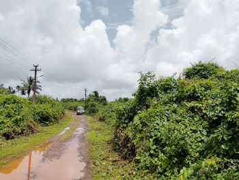  Residential Plot for Sale in Parcem, North Goa, 