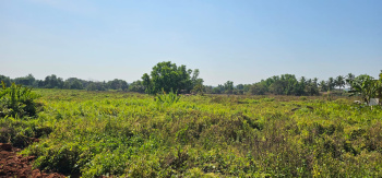  Residential Plot for Sale in Tivim, North Goa, 