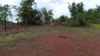  Residential Plot for Sale in Tivim, North Goa, 