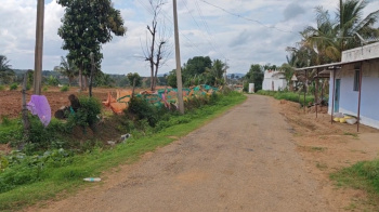  Agricultural Land for Sale in Kanakapura Road, Bangalore